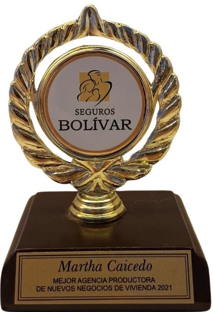 Mejor agencia productora de nuevos negocios de vivienda